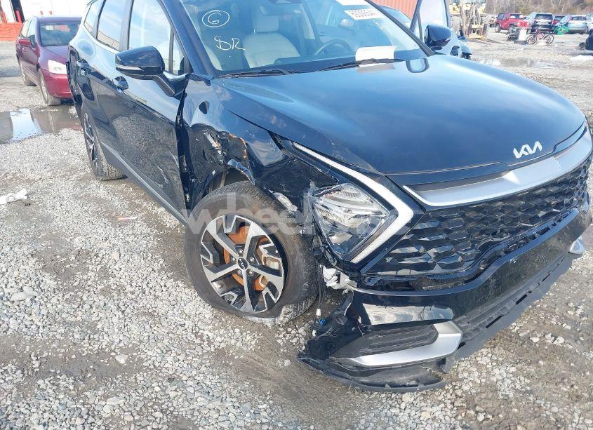 Photo 6 of 2023 Kia Sportage EX (VIN 5XYK33AF9PG069942)