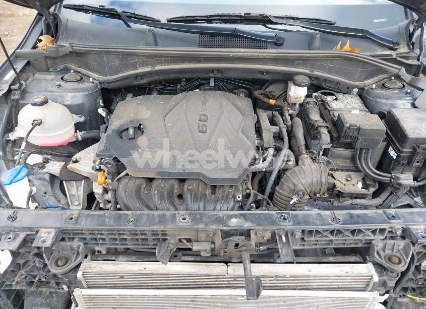 Photo 10 of 2023 Kia Sportage EX (VIN 5XYK33AF9PG106486)