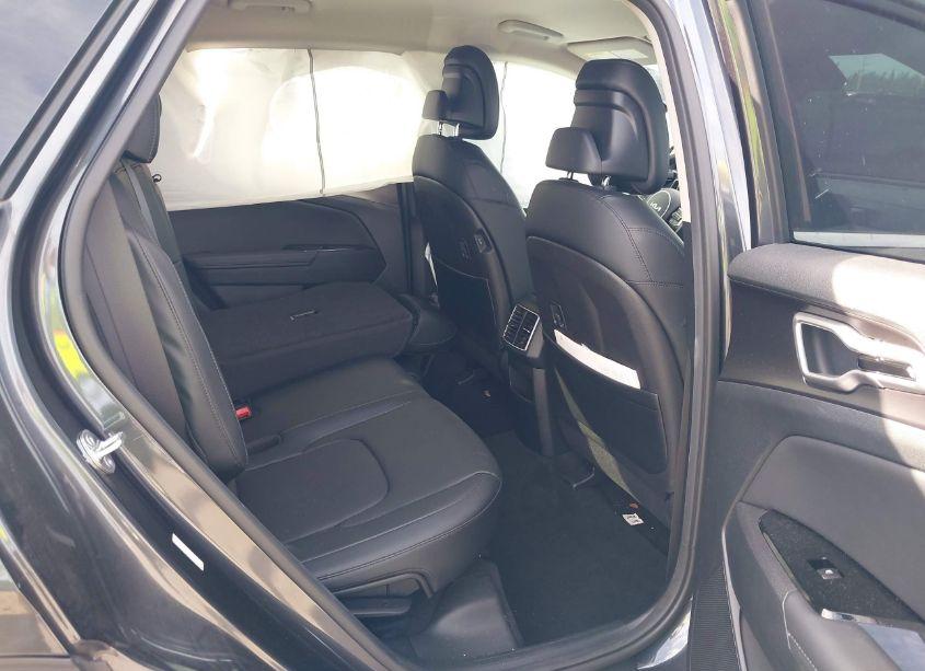Photo 8 of 2023 Kia Sportage EX (VIN 5XYK33AF9PG113485)
