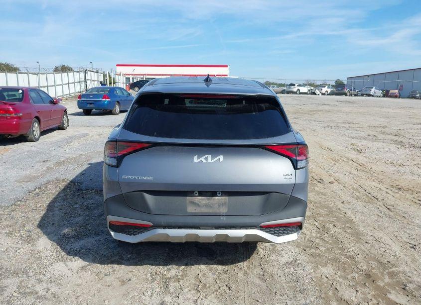 Photo 16 of 2023 Kia Sportage EX (VIN 5XYK33AFXPG008339)