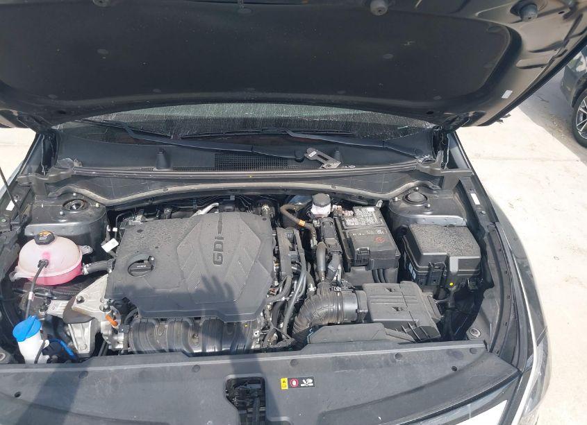 Photo 10 of 2023 Kia Sportage EX (VIN 5XYK33AFXPG091786)