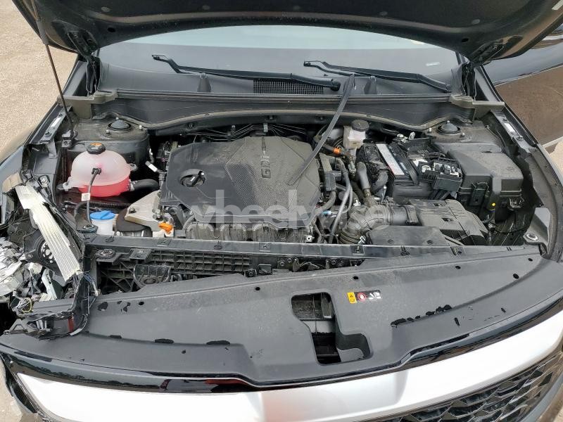 Photo 9 of 2024 KIA SPORTAGE EX (VIN 5XYK33DF0RG148821)