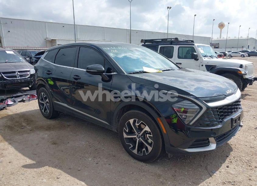 2024 Kia Sportage EX (VIN 5XYK33DF0RG166607) main photo