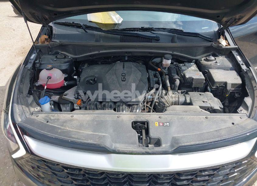 Photo 10 of 2024 Kia Sportage EX (VIN 5XYK33DF0RG166607)