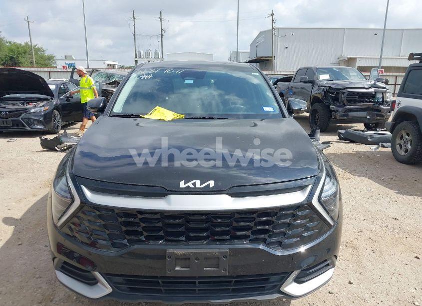 Photo 13 of 2024 Kia Sportage EX (VIN 5XYK33DF0RG166607)