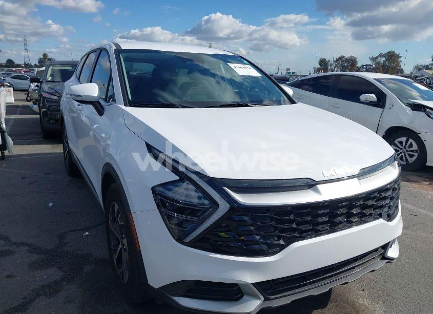 2024 Kia Sportage EX (VIN 5XYK33DF0RG211612) main photo