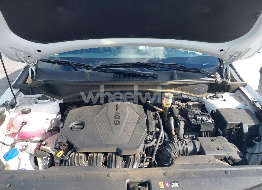 Photo 10 of 2024 Kia Sportage EX (VIN 5XYK33DF0RG211612)