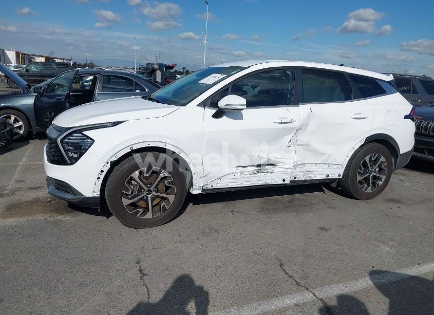 Photo 14 of 2024 Kia Sportage EX (VIN 5XYK33DF0RG211612)