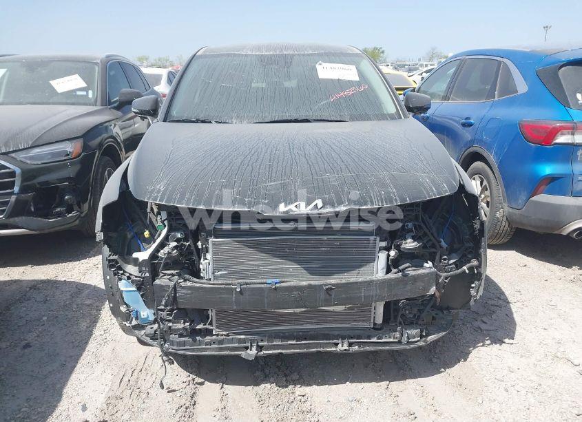Photo 13 of 2024 Kia Sportage EX (VIN 5XYK33DF0RG212744)