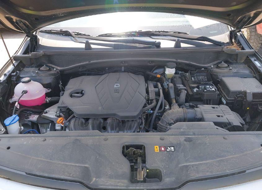 Photo 10 of 2024 Kia Sportage EX (VIN 5XYK33DF0RG216566)