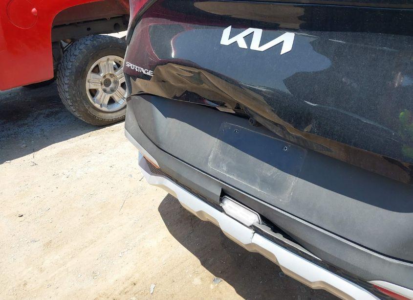 Photo 17 of 2024 Kia Sportage EX (VIN 5XYK33DF0RG216566)