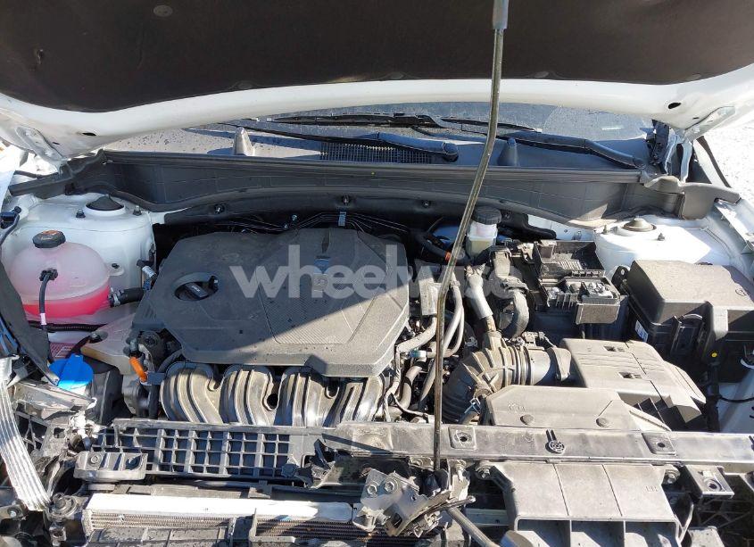 Photo 10 of 2024 Kia Sportage EX (VIN 5XYK33DF1RG151520)