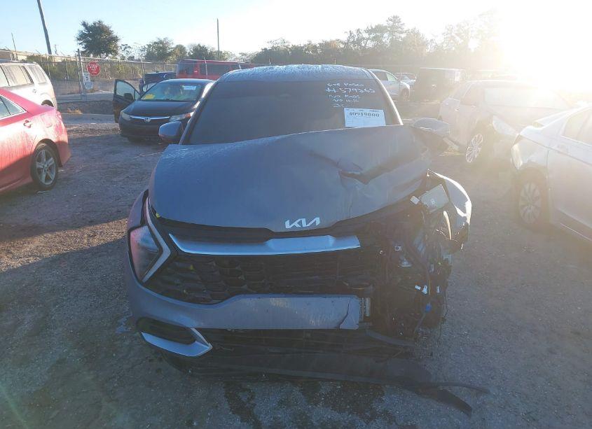 Photo 13 of 2024 Kia Sportage EX (VIN 5XYK33DF1RG208296)