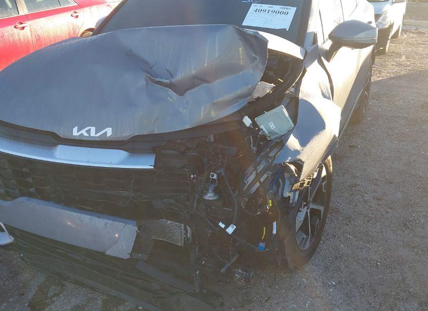 Photo 6 of 2024 Kia Sportage EX (VIN 5XYK33DF1RG208296)