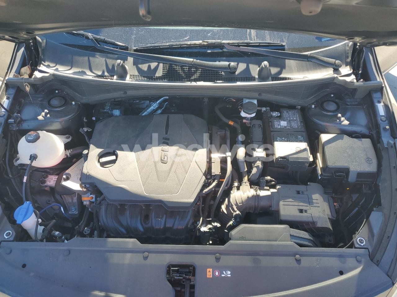 Photo 11 of 2024 KIA SPORTAGE EX (VIN 5XYK33DF1RG219184)