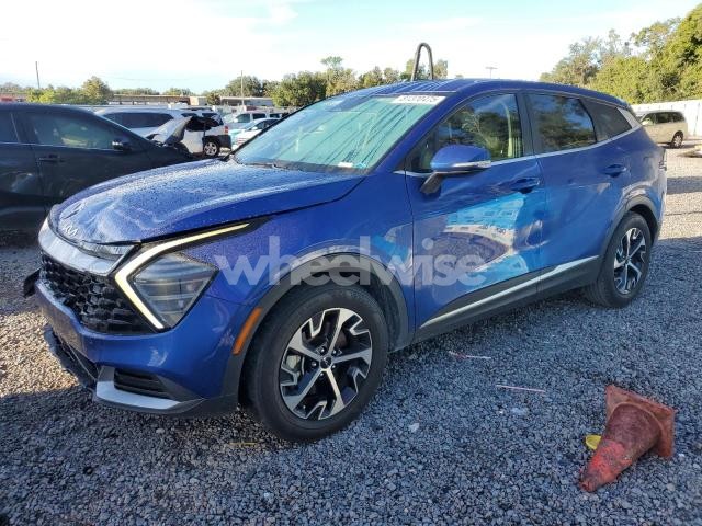 2024 KIA SPORTAGE EX (VIN 5XYK33DF2RG220408) main photo