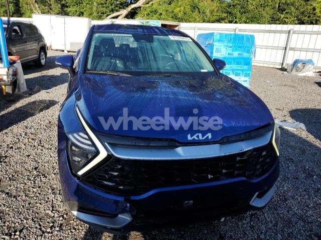 Photo 8 of 2024 KIA SPORTAGE EX (VIN 5XYK33DF2RG220408)