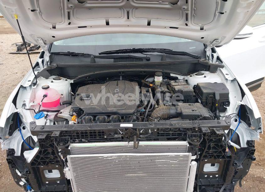 Photo 10 of 2024 Kia Sportage EX (VIN 5XYK33DF2RG220585)