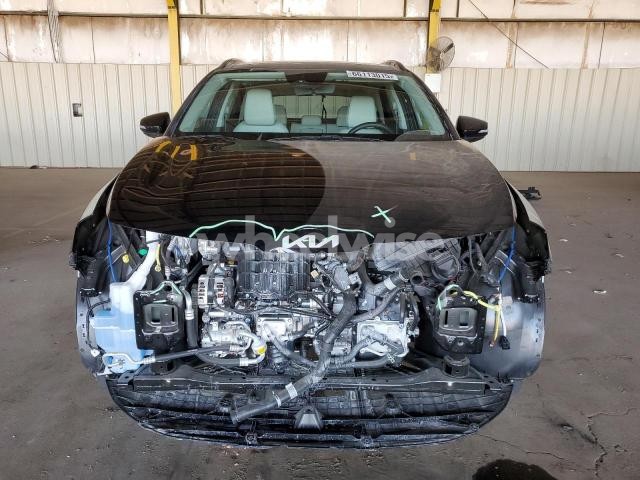 Photo 8 of 2025 KIA SPORTAGE EX (VIN 5XYK33DF2SG321289)