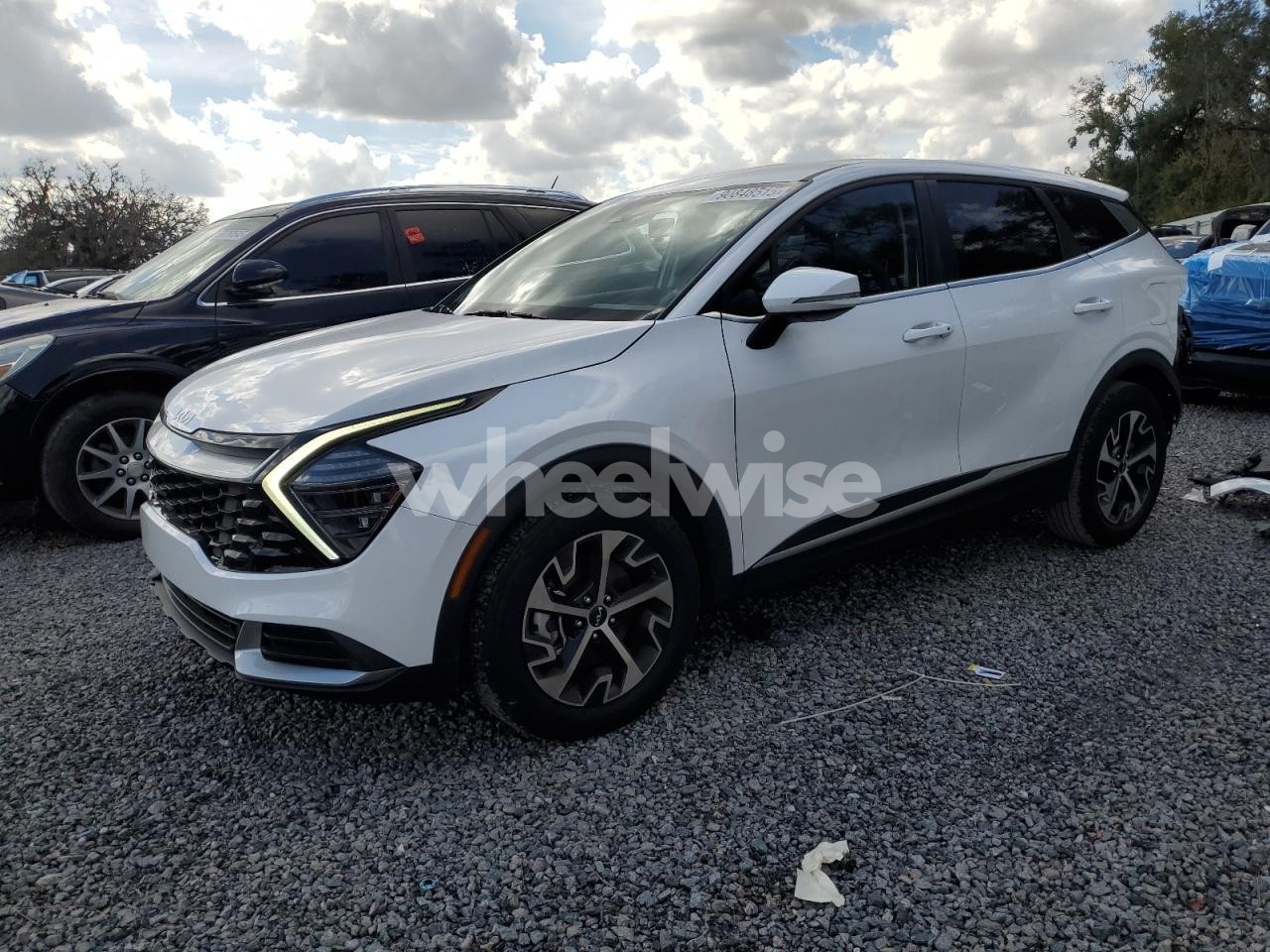 2024 KIA SPORTAGE EX (VIN 5XYK33DF3RG158713) main photo