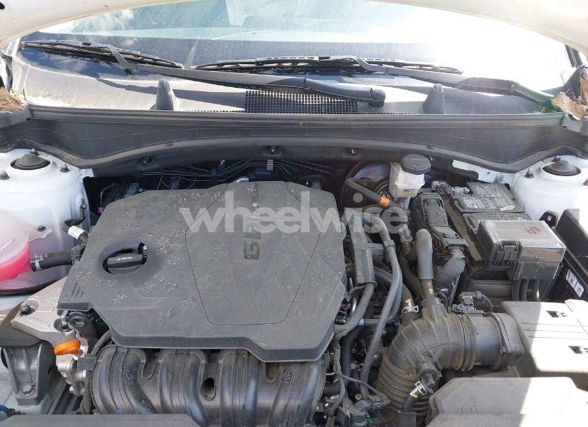 Photo 10 of 2024 Kia Sportage EX (VIN 5XYK33DF3RG163300)