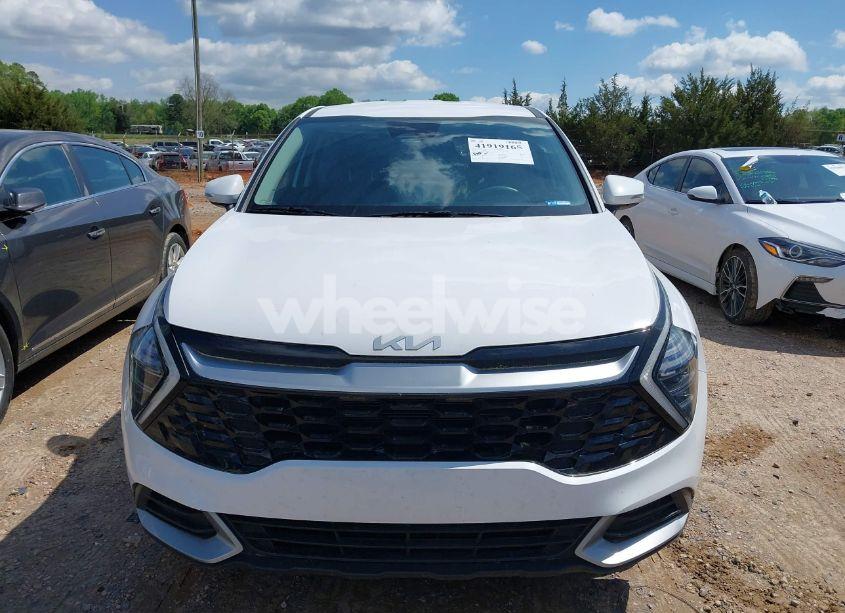 Photo 13 of 2024 Kia Sportage EX (VIN 5XYK33DF3RG163300)