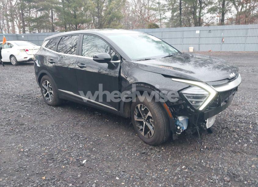 2024 Kia Sportage EX (VIN 5XYK33DF3RG194384) main photo