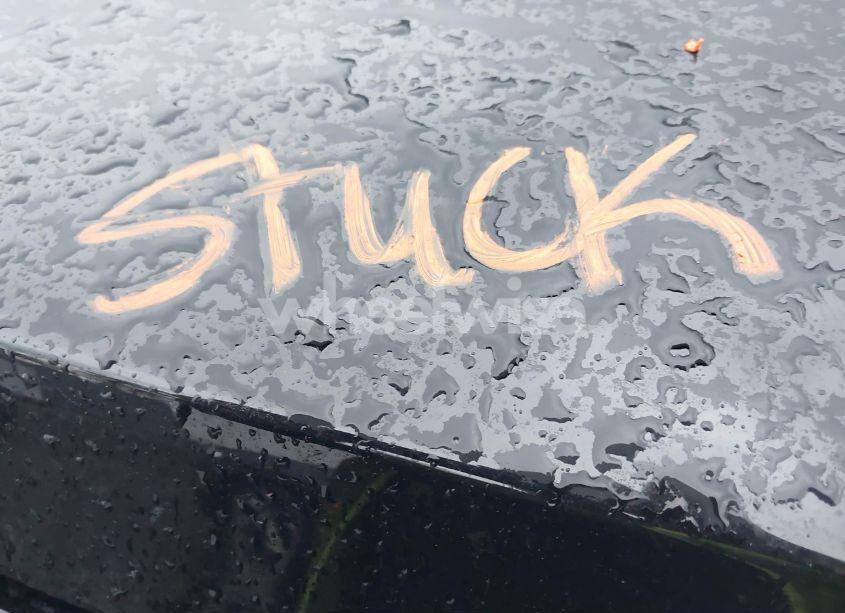 Photo 10 of 2024 Kia Sportage EX (VIN 5XYK33DF3RG194384)