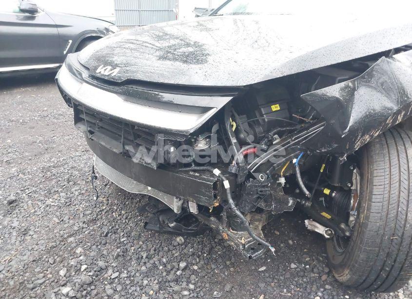 Photo 6 of 2024 Kia Sportage EX (VIN 5XYK33DF3RG194384)