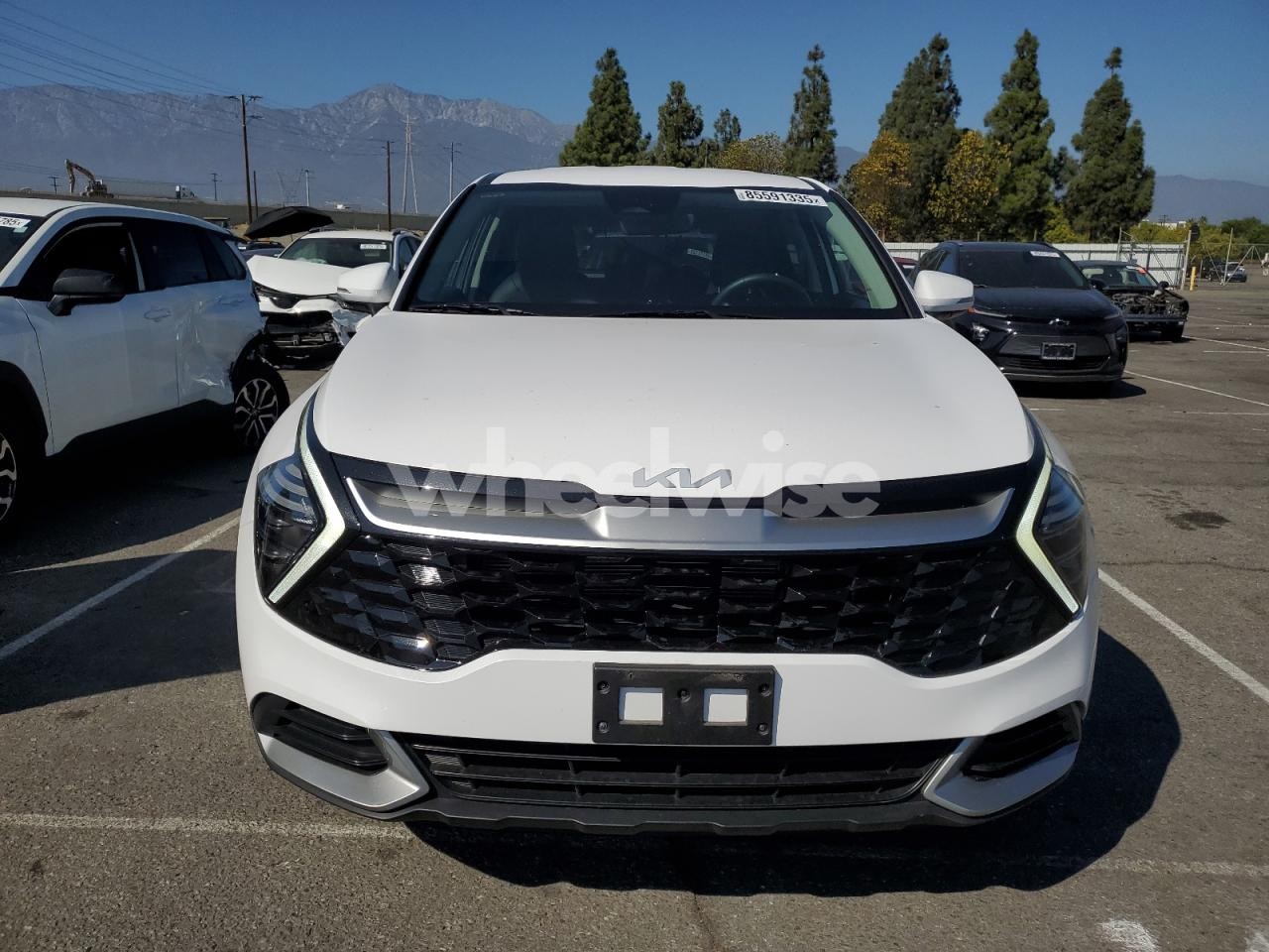 Photo 5 of 2024 KIA SPORTAGE EX (VIN 5XYK33DF3RG199889)