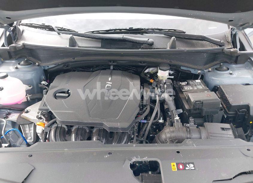 Photo 10 of 2025 Kia Sportage EX (VIN 5XYK33DF3SG254301)