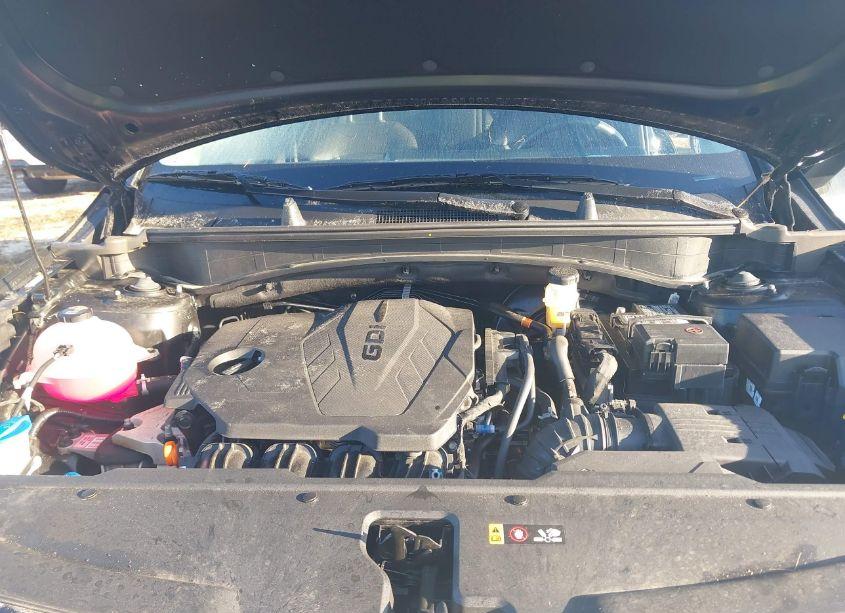 Photo 10 of 2024 Kia Sportage EX (VIN 5XYK33DF4RG146201)