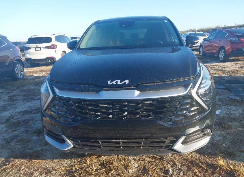 Photo 12 of 2024 Kia Sportage EX (VIN 5XYK33DF4RG146201)