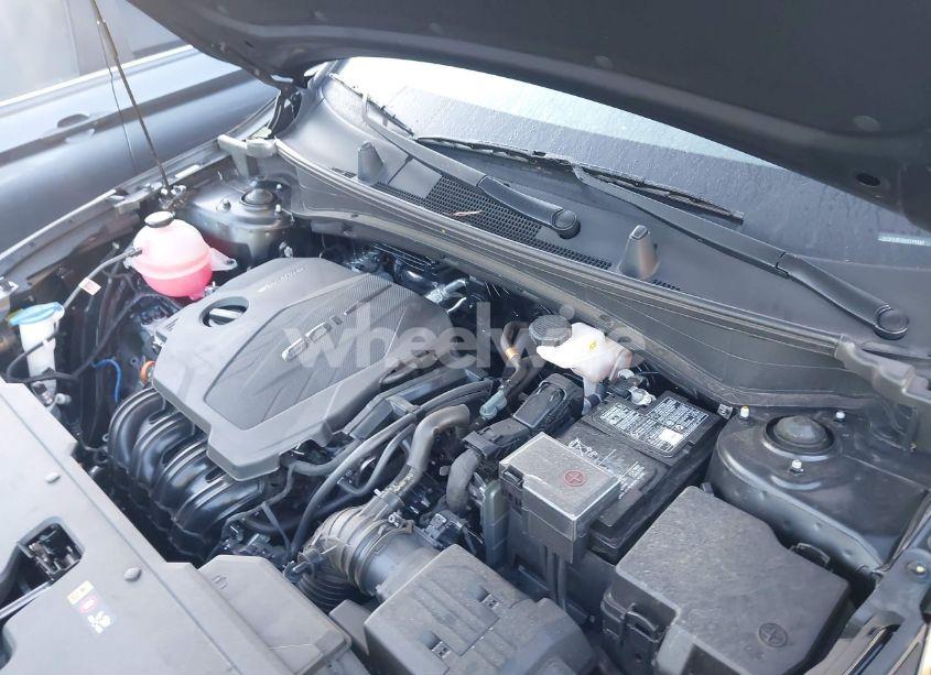 Photo 10 of 2024 Kia Sportage EX (VIN 5XYK33DF4RG199545)