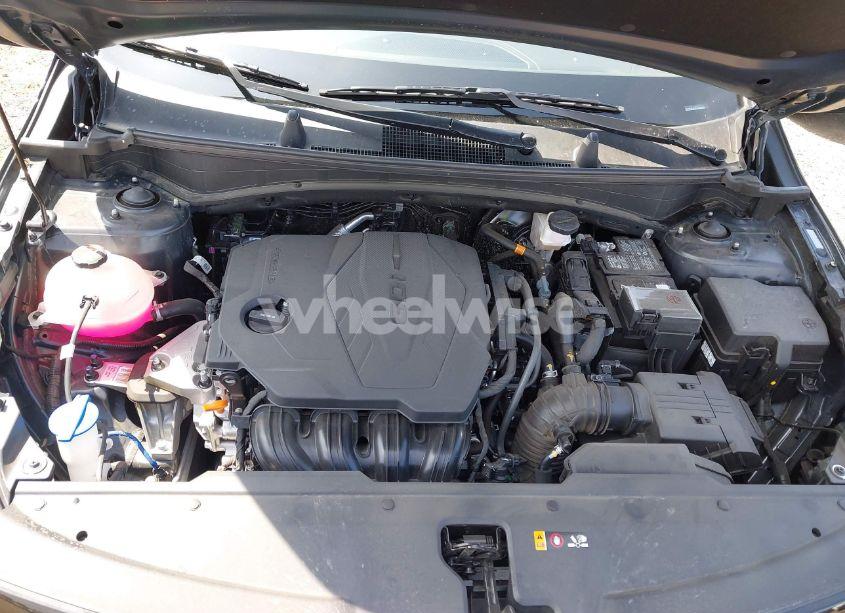 Photo 10 of 2025 Kia Sportage EX (VIN 5XYK33DF4SG235191)