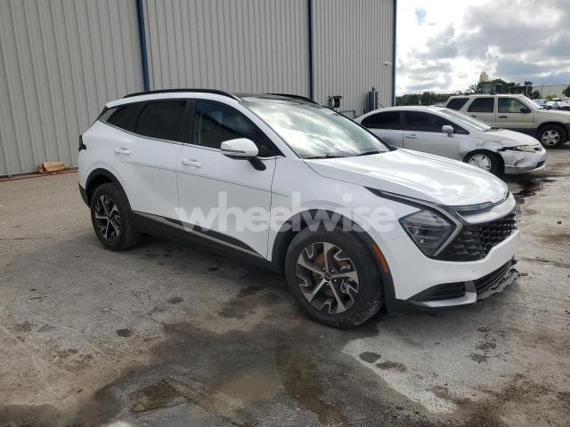 Photo 11 of 2025 KIA SPORTAGE EX (VIN 5XYK33DF5SG270547)