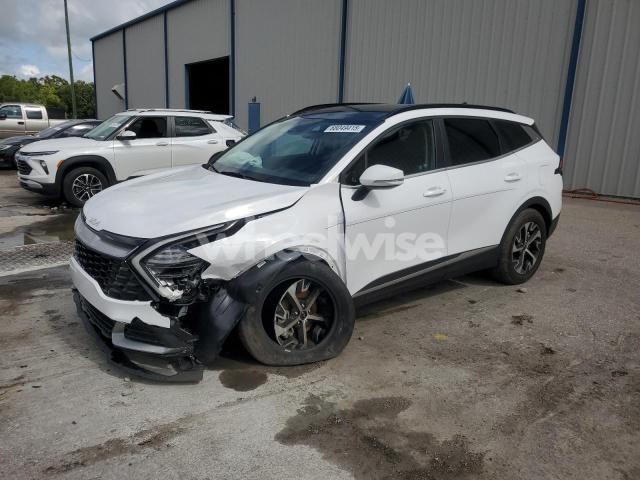 Photo 13 of 2025 KIA SPORTAGE EX (VIN 5XYK33DF5SG270547)