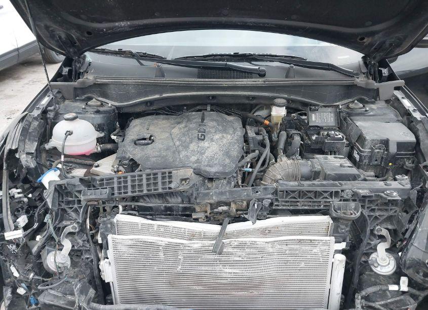 Photo 10 of 2024 Kia Sportage EX (VIN 5XYK33DF6RG163324)