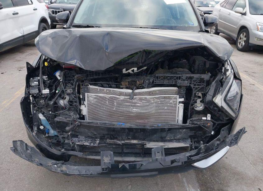 Photo 6 of 2024 Kia Sportage EX (VIN 5XYK33DF6RG163324)