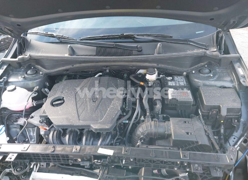 Photo 10 of 2024 Kia Sportage EX (VIN 5XYK33DF6RG187316)
