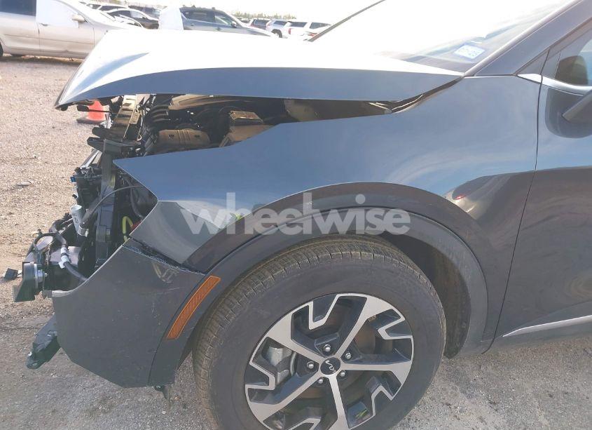 Photo 19 of 2024 Kia Sportage EX (VIN 5XYK33DF6RG187316)