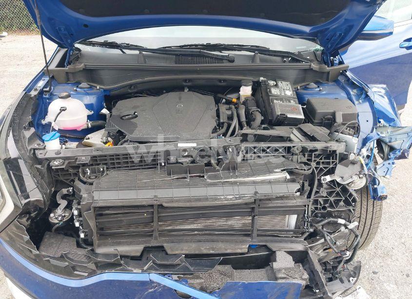 Photo 10 of 2024 Kia Sportage EX (VIN 5XYK33DF6RG196565)
