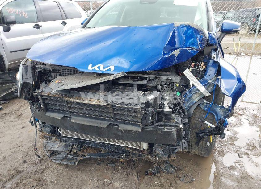 Photo 6 of 2024 Kia Sportage EX (VIN 5XYK33DF7RG172145)