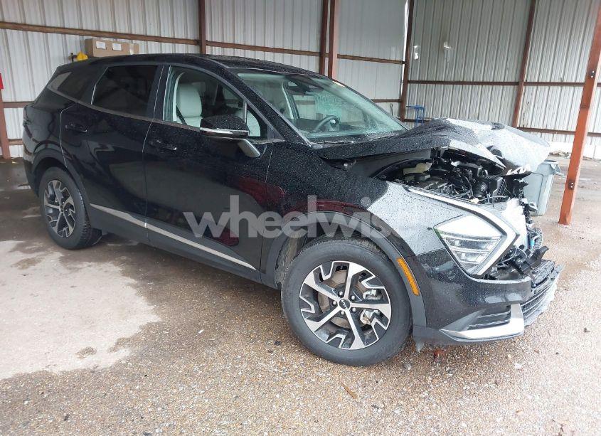 2025 Kia Sportage EX (VIN 5XYK33DF7SG262854) main photo