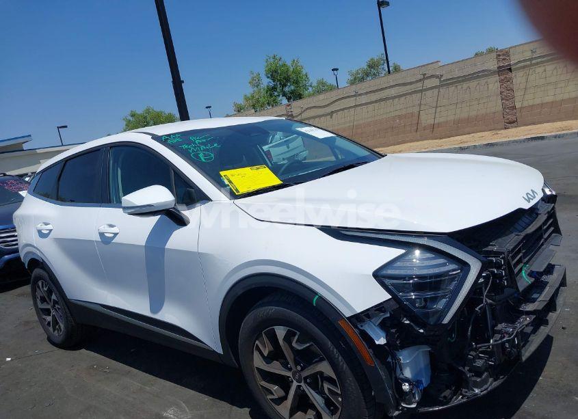 Photo 14 of 2025 Kia Sportage EX (VIN 5XYK33DF7SG303595)