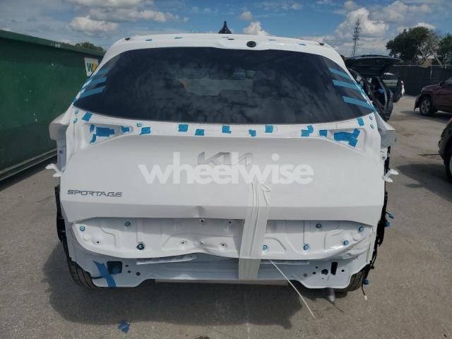 Photo 8 of 2025 KIA SPORTAGE EX (VIN 5XYK33DF7SG310613)
