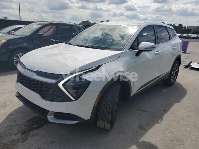 Photo 9 of 2025 KIA SPORTAGE EX (VIN 5XYK33DF7SG310613)