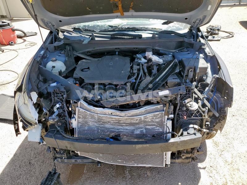 Photo 5 of 2024 KIA SPORTAGE EX (VIN 5XYK33DF8RG204858)