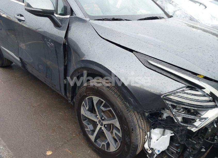 Photo 17 of 2024 Kia Sportage EX (VIN 5XYK33DF8RG211809)