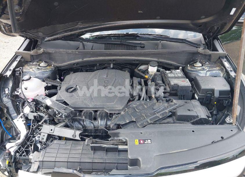 Photo 10 of 2024 Kia Sportage EX (VIN 5XYK33DF8RG216931)